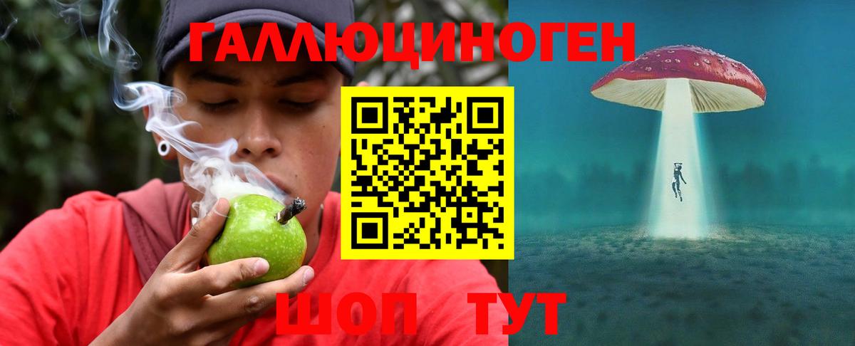 Псилоцибиновые грибы MAGIC MUSHROOMS  Вход с VPN  купить наркоту  Миасс 